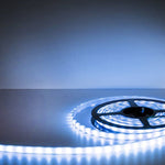 Sauflex LED